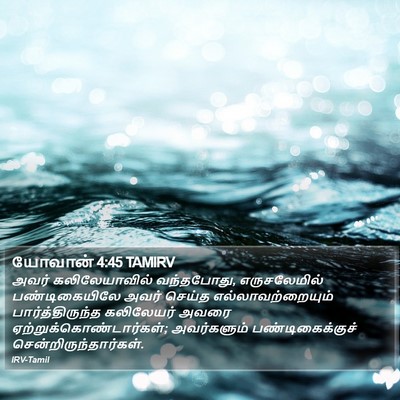 யோவான் 4:45 TAMIRV Bible Verse Image