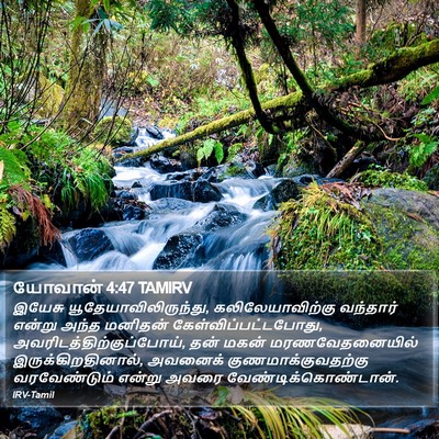 யோவான் 4:47 TAMIRV Bible Verse Image