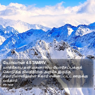 யோவான் 4:5 TAMIRV Bible Verse Image
