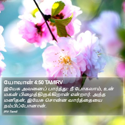 யோவான் 4:50 TAMIRV Bible Verse Image