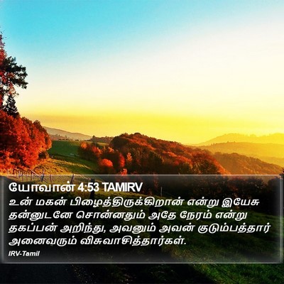 யோவான் 4:53 TAMIRV Bible Verse Image