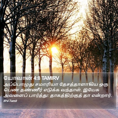 யோவான் 4:8 TAMIRV Bible Verse Image