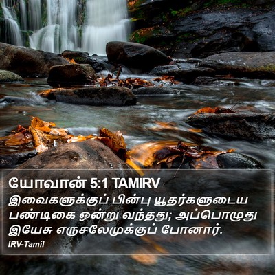 யோவான் 5:1 TAMIRV Bible Verse Image