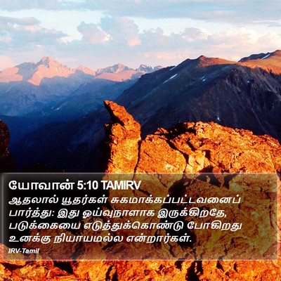 யோவான் 5:10 TAMIRV Bible Verse Image