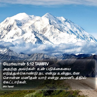 யோவான் 5:12 TAMIRV Bible Verse Image