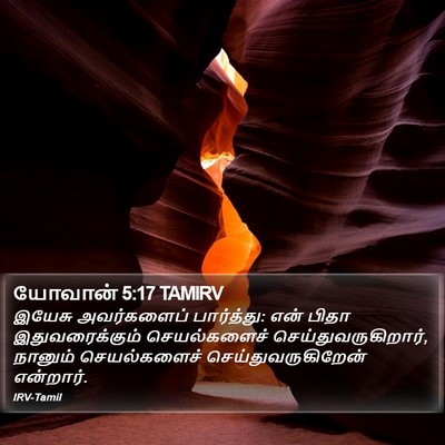 யோவான் 5:17 TAMIRV Bible Verse Image