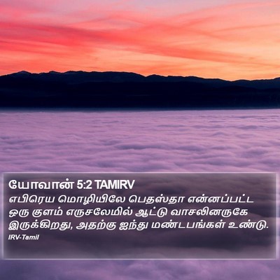 யோவான் 5:2 TAMIRV Bible Verse Image