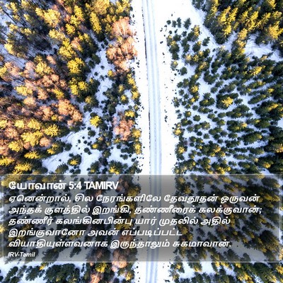 யோவான் 5:4 TAMIRV Bible Verse Image