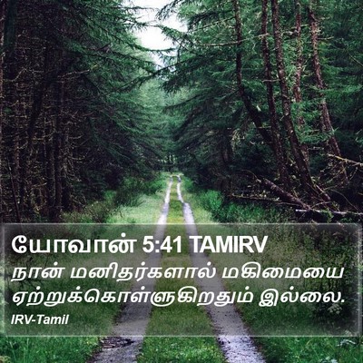 யோவான் 5:41 TAMIRV Bible Verse Image