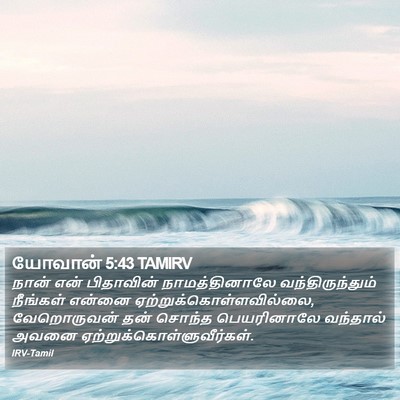 யோவான் 5:43 TAMIRV Bible Verse Image