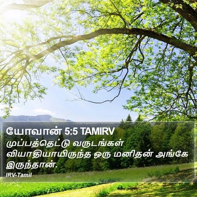 யோவான் 5:5 TAMIRV Bible Verse Image