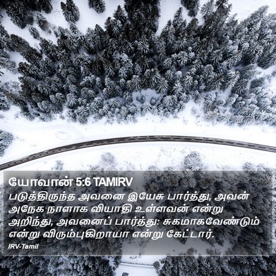 யோவான் 5:6 TAMIRV Bible Verse Image