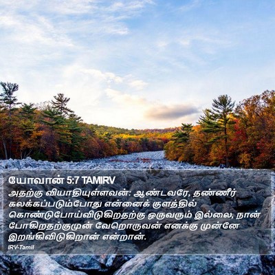 யோவான் 5:7 TAMIRV Bible Verse Image