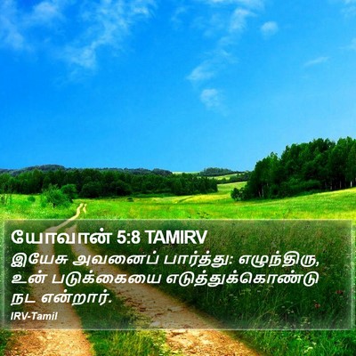 யோவான் 5:8 TAMIRV Bible Verse Image