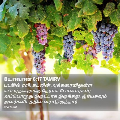 யோவான் 6:17 TAMIRV Bible Verse Image