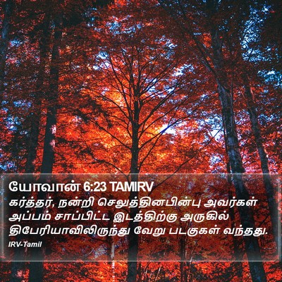 யோவான் 6:23 TAMIRV Bible Verse Image