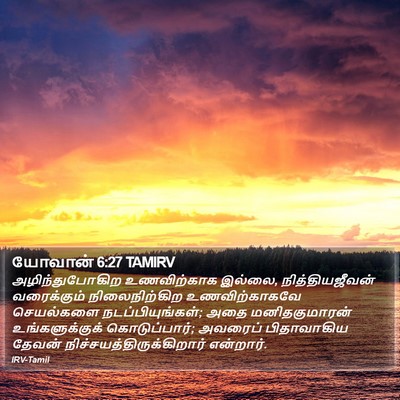 யோவான் 6:27 TAMIRV Bible Verse Image