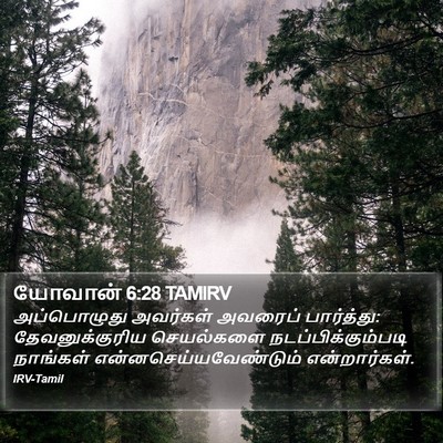யோவான் 6:28 TAMIRV Bible Verse Image