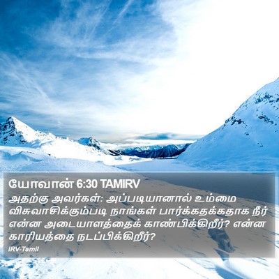 யோவான் 6:30 TAMIRV Bible Verse Image