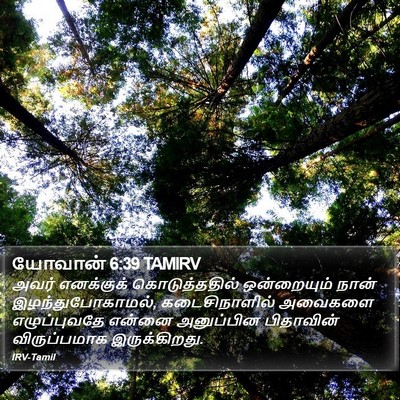 யோவான் 6:39 TAMIRV Bible Verse Image