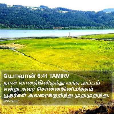 யோவான் 6:41 TAMIRV Bible Verse Image