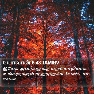 யோவான் 6:43 TAMIRV Bible Verse Image