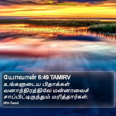 யோவான் 6:49 TAMIRV Bible Verse Image