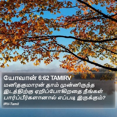 யோவான் 6:62 TAMIRV Bible Verse Image