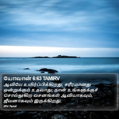 யோவான் 6:63 TAMIRV Bible Verse Image