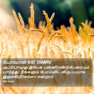 யோவான் 6:67 TAMIRV Bible Verse Image