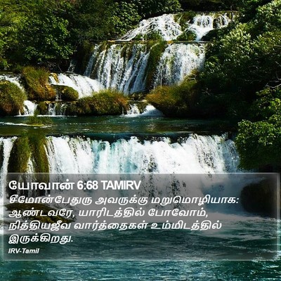 யோவான் 6:68 TAMIRV Bible Verse Image