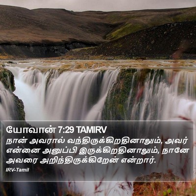 யோவான் 7:29 TAMIRV Bible Verse Image