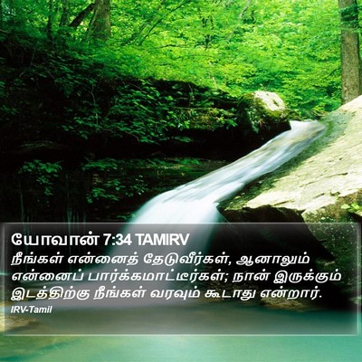 யோவான் 7:34 TAMIRV Bible Verse Image