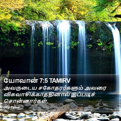 யோவான் 7:5 TAMIRV Bible Verse Image
