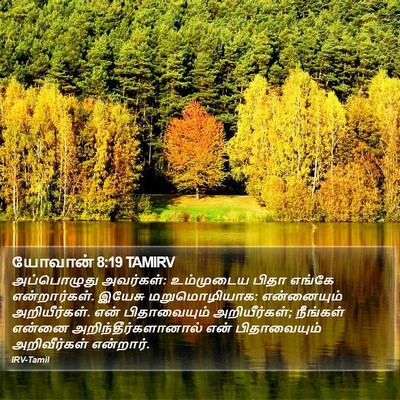 யோவான் 8:19 TAMIRV Bible Verse Image
