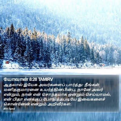 யோவான் 8:28 TAMIRV Bible Verse Image