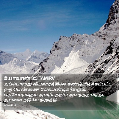 யோவான் 8:3 TAMIRV Bible Verse Image