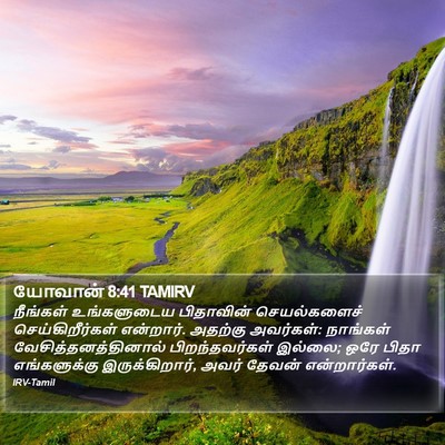 யோவான் 8:41 TAMIRV Bible Verse Image