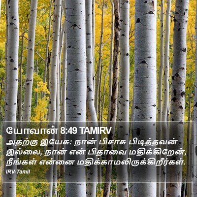 யோவான் 8:49 TAMIRV Bible Verse Image