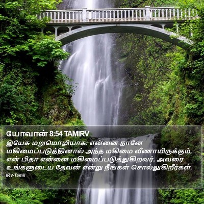 யோவான் 8:54 TAMIRV Bible Verse Image