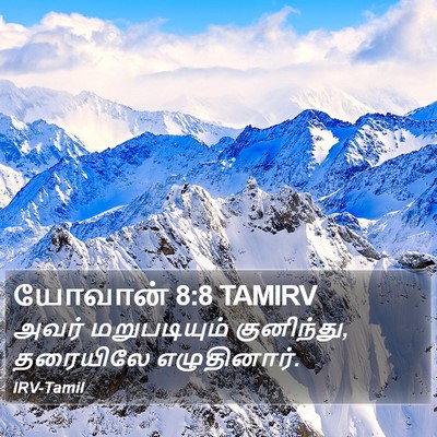 யோவான் 8:8 TAMIRV Bible Verse Image