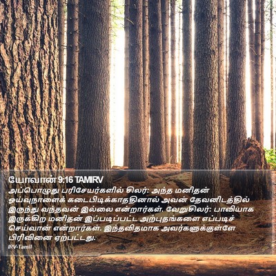 யோவான் 9:16 TAMIRV Bible Verse Image