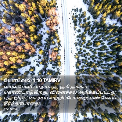 யோவேல் 1:10 TAMIRV Bible Verse Image