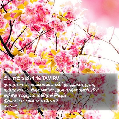 யோவேல் 1:16 TAMIRV Bible Verse Image
