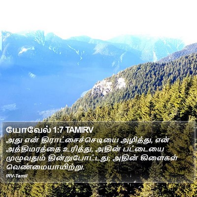 யோவேல் 1:7 TAMIRV Bible Verse Image