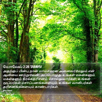 யோவேல் 2:28 TAMIRV Bible Verse Image