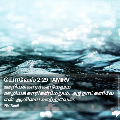 யோவேல் 2:29 TAMIRV Bible Verse Image