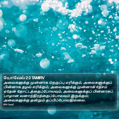 யோவேல் 2:3 TAMIRV Bible Verse Image