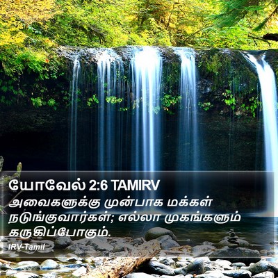 யோவேல் 2:6 TAMIRV Bible Verse Image
