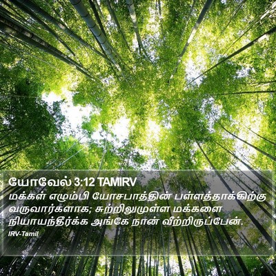 யோவேல் 3:12 TAMIRV Bible Verse Image